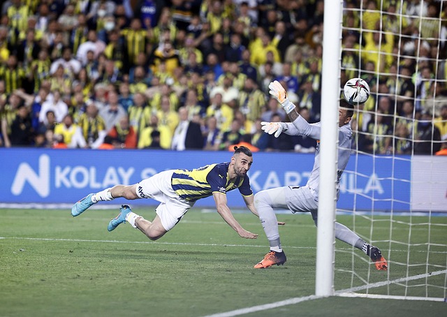 在烏度卡的 在烏度卡的